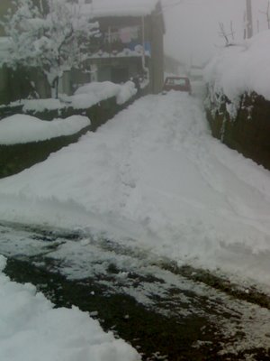 neve ad aiello.jpg